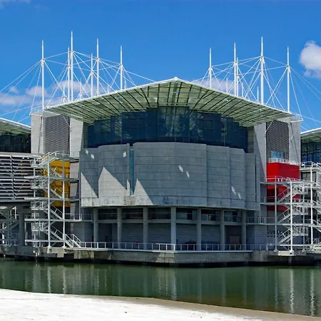 Go Native - Vip Apartment *